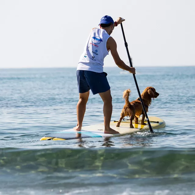 sup lessons